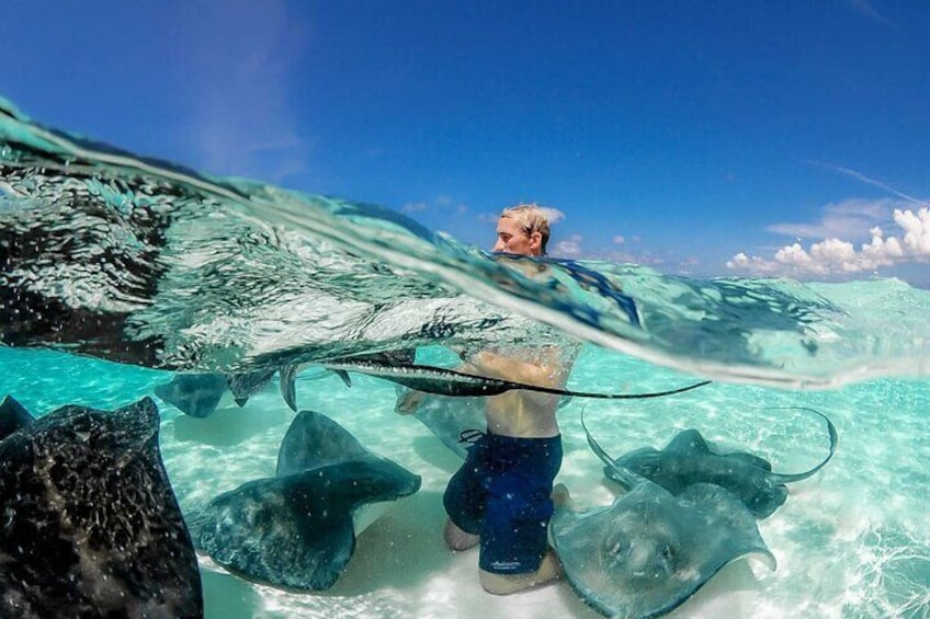 Cayman Adventure Stingrays Starfish & Crystal Caves Experience