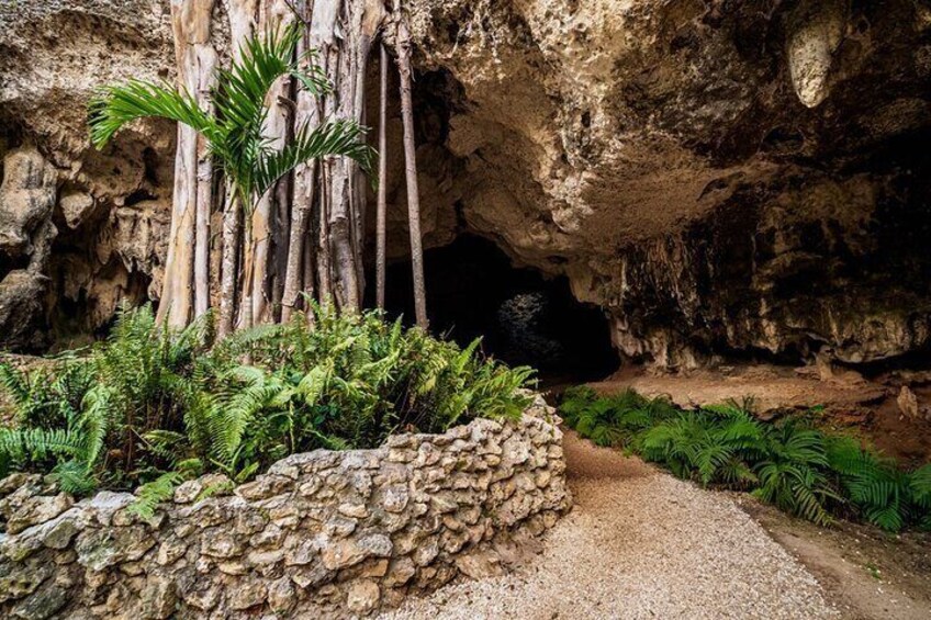 Cayman Adventure Stingrays Starfish & Crystal Caves Experience