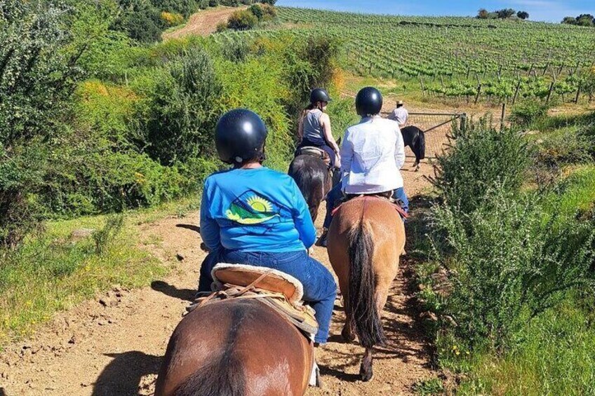 Horse riding in MontGras
