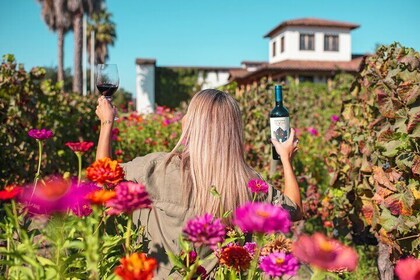 Private Wine Tour MontGras in Colchagua Valley from Santiago