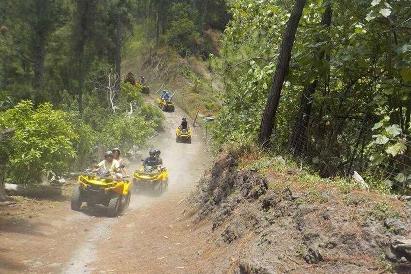 Grand Tour Quad 3h30 Quad excursion in Moorea (single or two-seater)