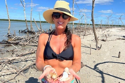 10.000 Islas Viaje de bombardeo Marco Island FL