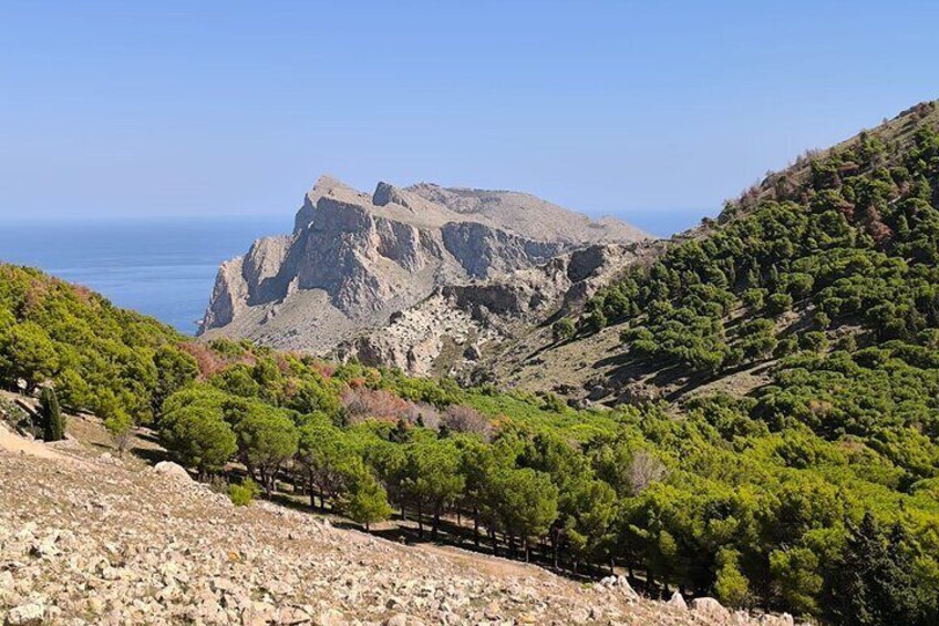 Amazing Trail to Semaforo di Capo Gallo with Alex