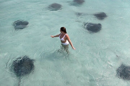 Two-Stop Snorkeling and Stingray City Cayman Combo Adventure