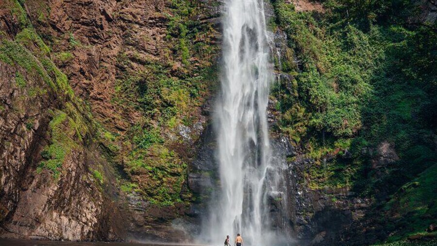 Wli Waterfall and Tafi Atome Monkey Sanctuary