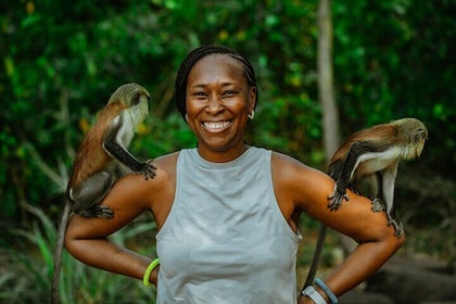 Wli Waterval en Tafi Atome Monkey Sanctuary (dagbezoek)