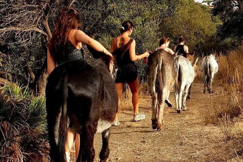 Visitors enjoying the donkeywalk