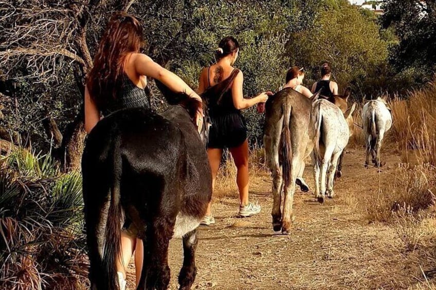 Visitors enjoying the donkeywalk