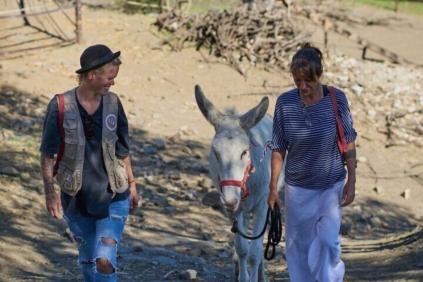 Getting a donkey ready for the walk