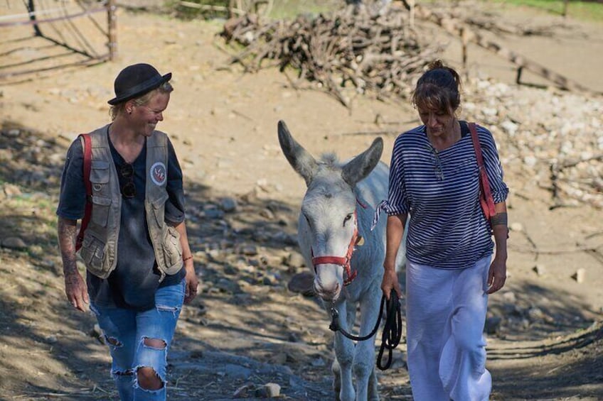 Getting a donkey ready for the walk