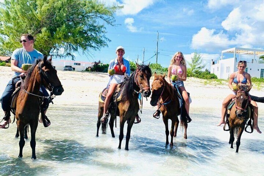 Experience the beauty of Turks and Caicos on horseback! Ride with friends along pristine shores and feel the ocean breeze as you trot through the turquoise waves.