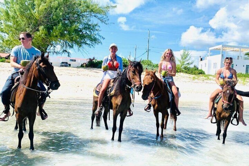 Experience the beauty of Turks and Caicos on horseback! Ride with friends along pristine shores and feel the ocean breeze as you trot through the turquoise waves.