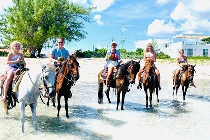 Small Group Horseback Riding Adventure in Caicos Islands