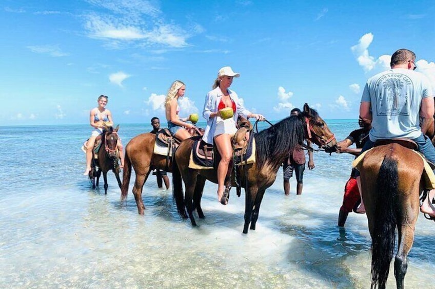 Saddle up for an unforgettable adventure! Join our group ride along stunning beaches, where the crystal-clear waters meet golden sunsets.