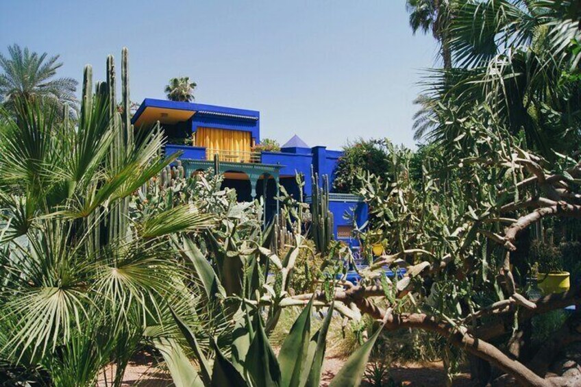 Majorelle Garden Berber and Yves Saint Laurent Museum Entry 
