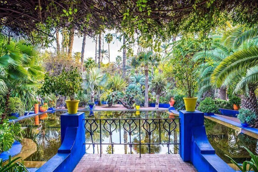 Majorelle Garden Berber and Yves Saint Laurent Museum Entry