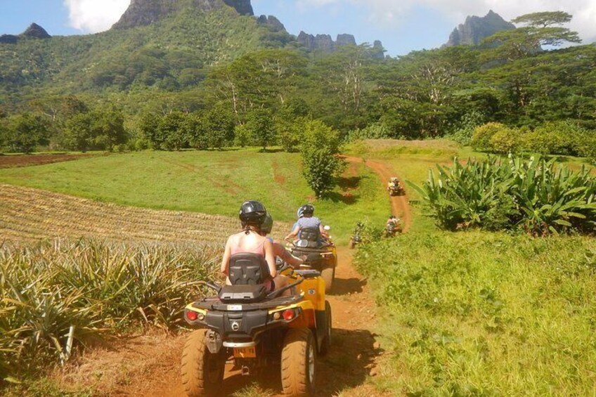 Small Quad Tour 2h30 Quad excursion in Moorea (single or two-seater)