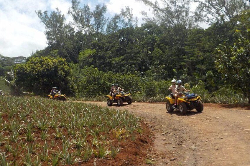 Small Quad Tour 2h30 Quad excursion in Moorea (single or two-seater)