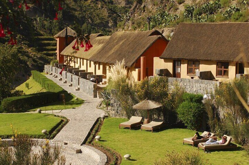 Colca Canyon 2-Day Tour with Lodge Stay and Transfer to Puno