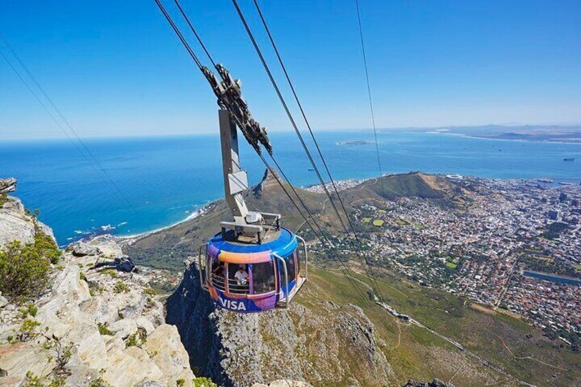 Table Mountain Boulder's Beach and Cape Point Tour