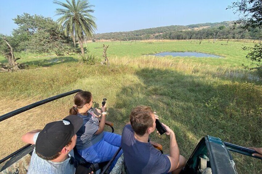 Ranthambore Tiger Safari Same Day From Jaipur