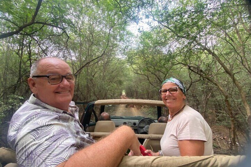 Ranthambore Tiger Safari Same Day From Jaipur