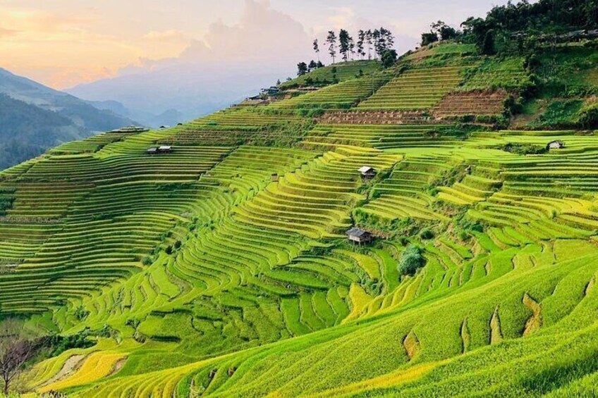 Private Half-Day Tour of Villages, Terrace Rice Fields by Car