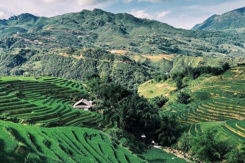 Private Half-Day Tour of Villages, Terrace Rice Fields by Car