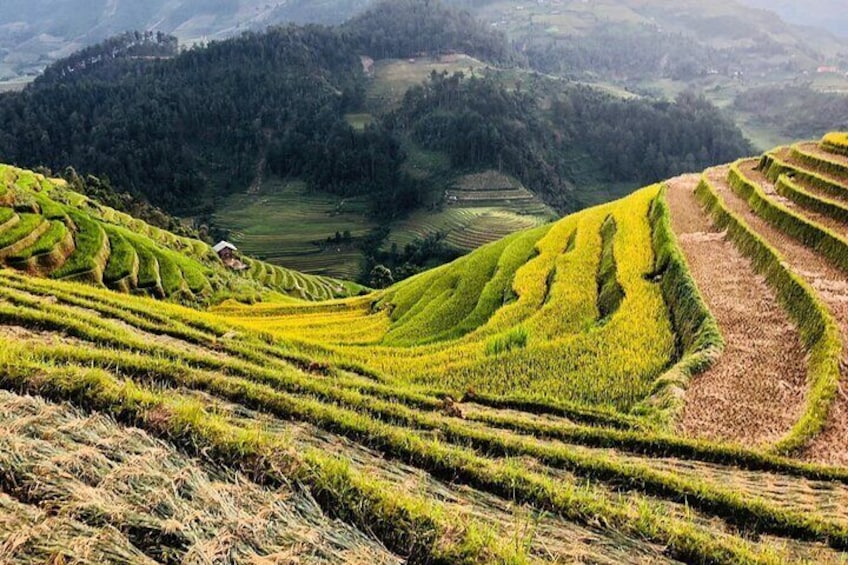 Private Half-Day Tour of Villages, Terrace Rice Fields by Car