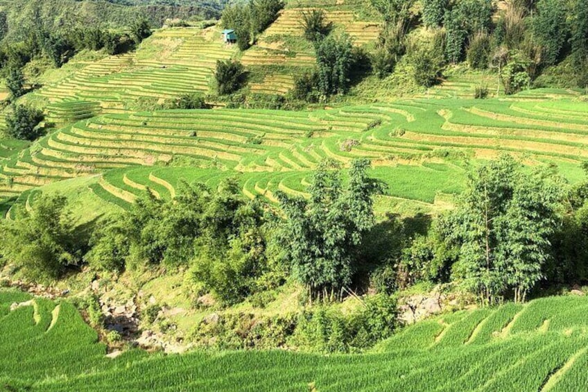 Private Half-Day Tour of Villages, Terrace Rice Fields by Car