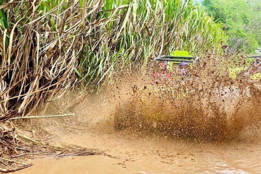 Bayahibe Buggy through Chavon River and Sugar Cane Adventure