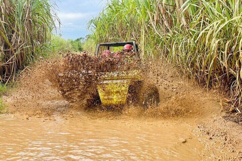 Bayahibe Buggy through Chavon River and Sugar Cane Adventure