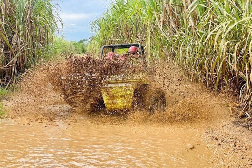 Bayahibe Buggy through Chavon River and Sugar Cane Adventure