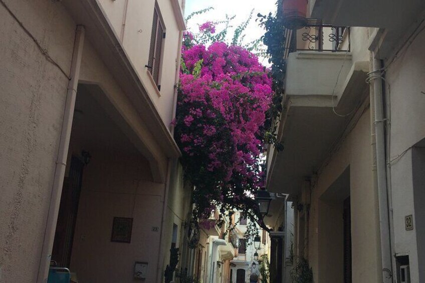 West Crete Chania and Rethimnon Old Town Tour