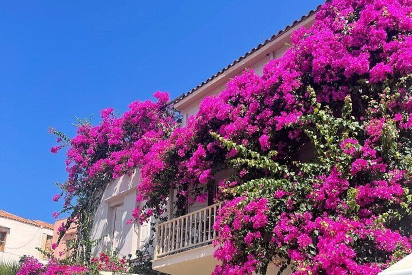 West Crete Chania and Rethimnon Old Town Tour
