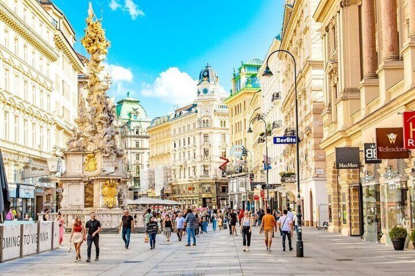 Private Vienna Full-Day Tour with Schönbrunn Palace Entry & Lunch