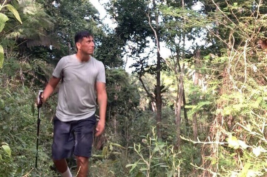 Monkey Mountain Hiking Tour (Include food and fresh coconut)