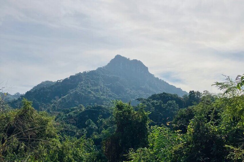 Monkey Mountain Hiking Tour (Include food and fresh coconut)