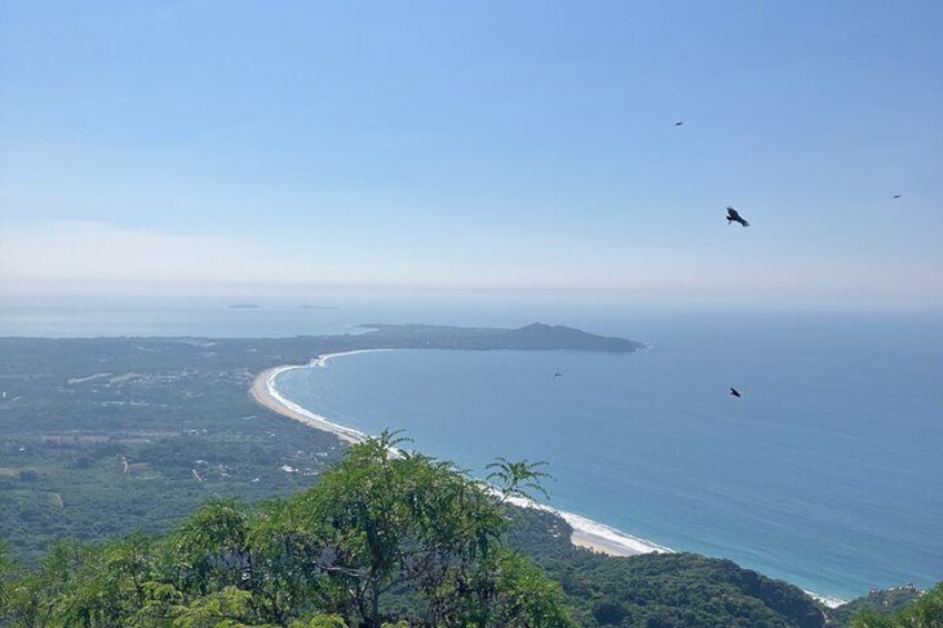 Monkey Mountain Hiking Tour (Include food and fresh coconut)