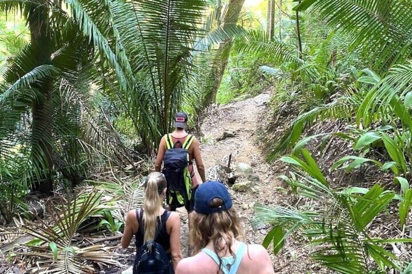 Monkey Mountain Hiking Tour (Include food and fresh coconut)