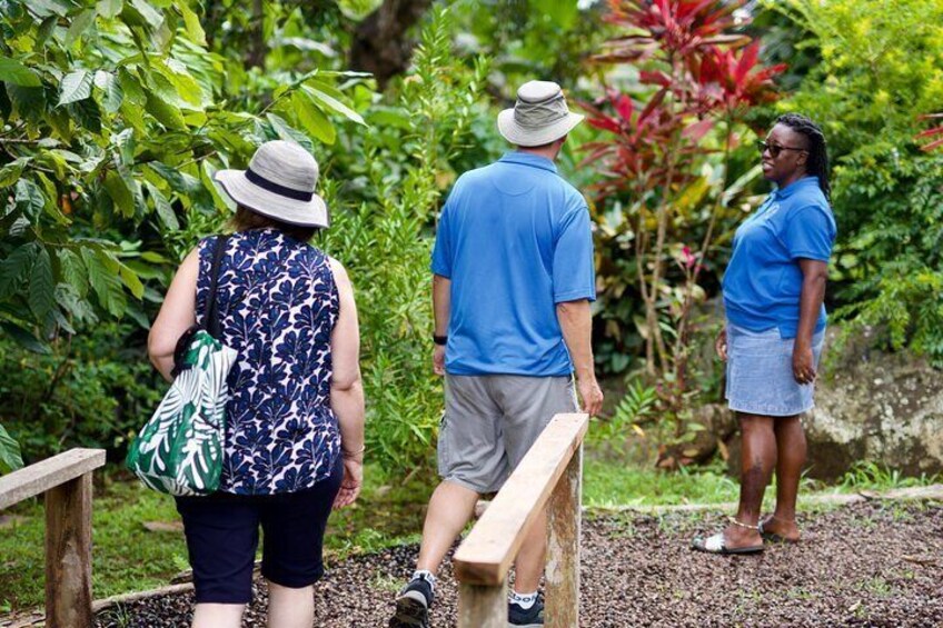 Grenada Nature and Heritage Escape Private Tour with Pickup