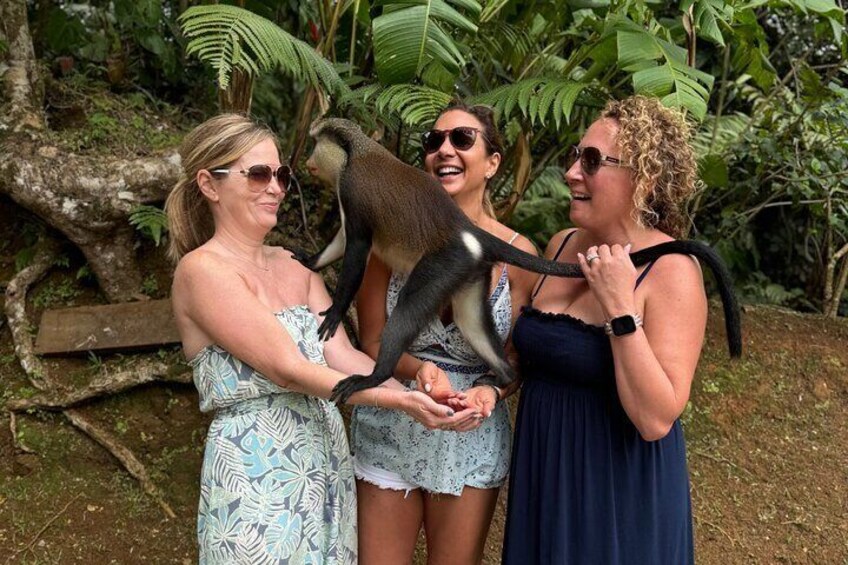 Grenada Nature and Heritage Escape Private Tour with Pickup
