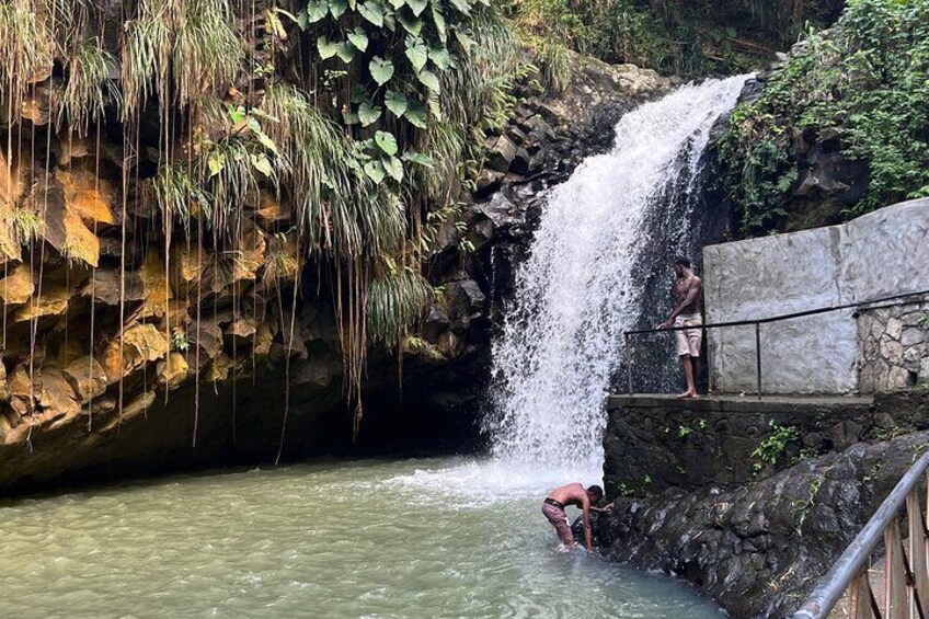 Grenada Nature and Heritage Escape Private Tour with Pickup