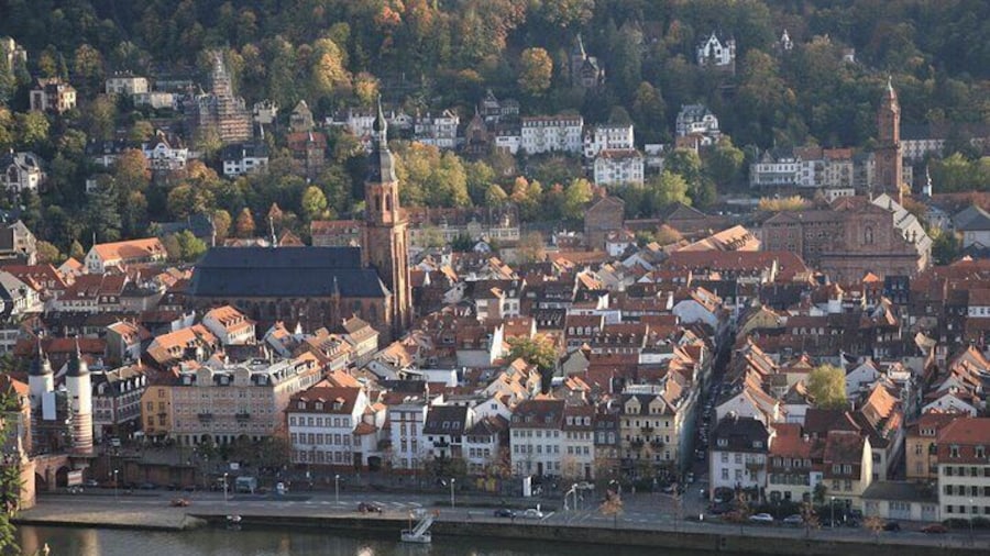 Heidelberg Guided Tour