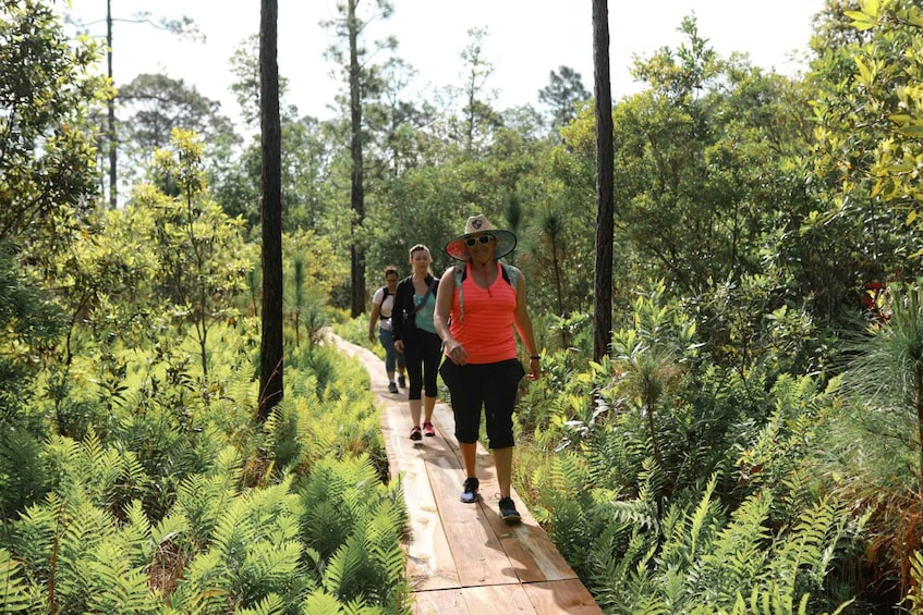 Picture 3 for Activity Titusville: Fox Lake Guided Hike with Outdoor Yoga Session