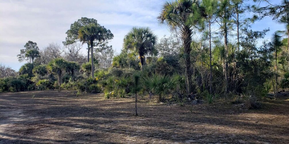 Picture 1 for Activity Titusville: Fox Lake Guided Hike with Outdoor Yoga Session