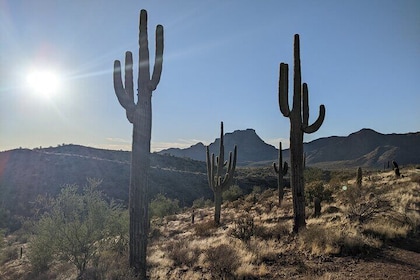 Copper Mile Desert Hike