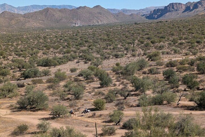 Copper Mile Desert Hike