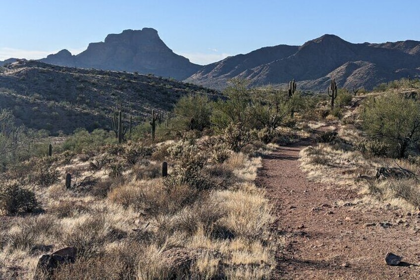 Copper Mile Desert Hike