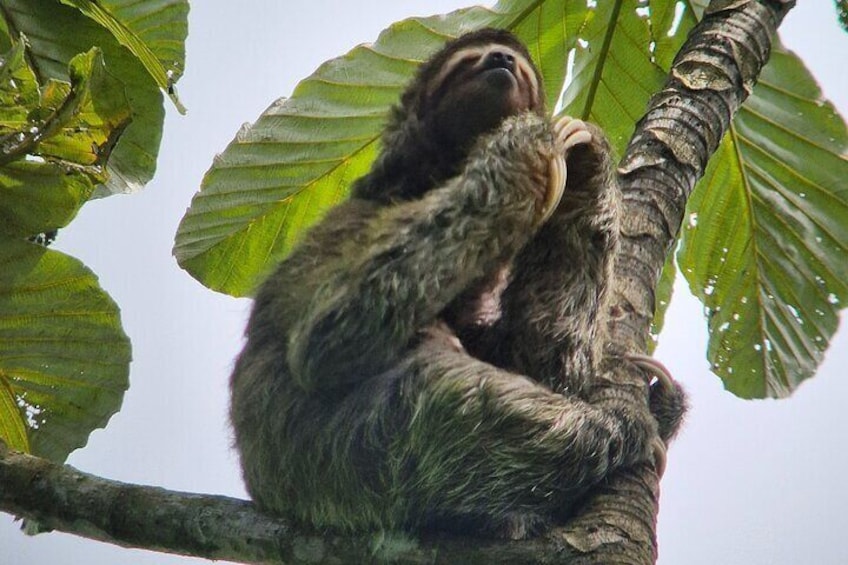 Corcovado National Park 1 Night 2 Day Tour